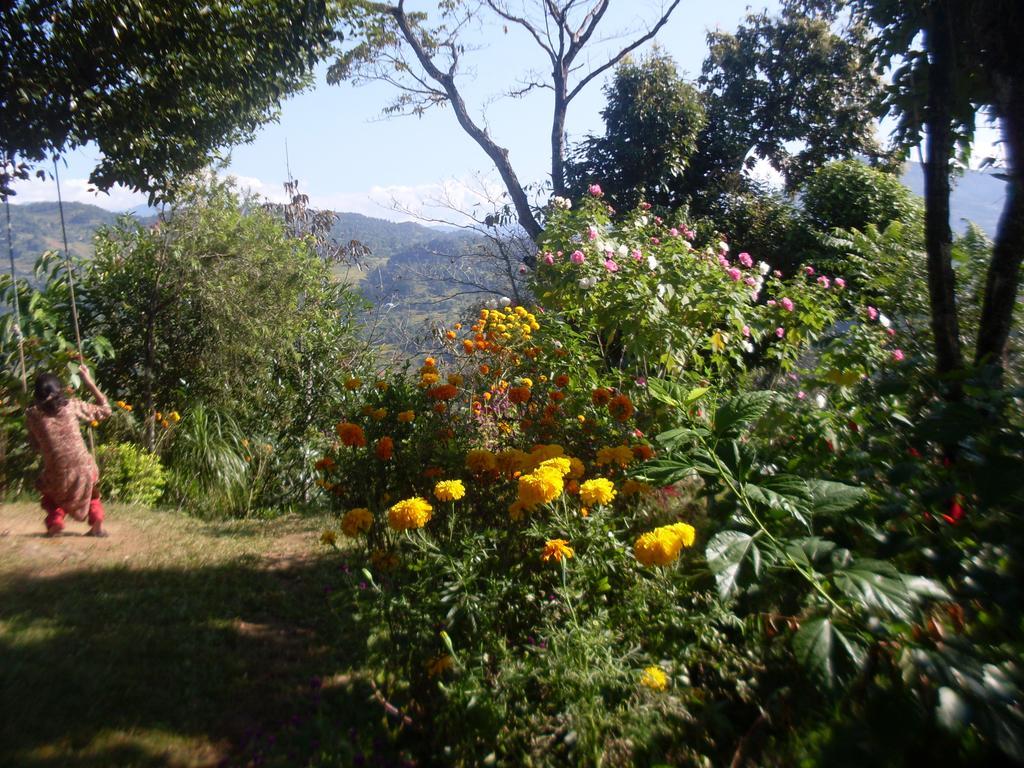 Dinesh House Bed and Breakfast Pokhara Exterior foto