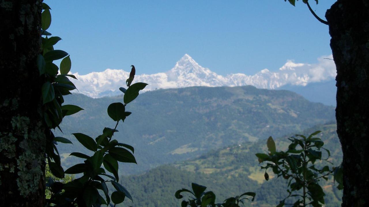 Dinesh House Bed and Breakfast Pokhara Exterior foto