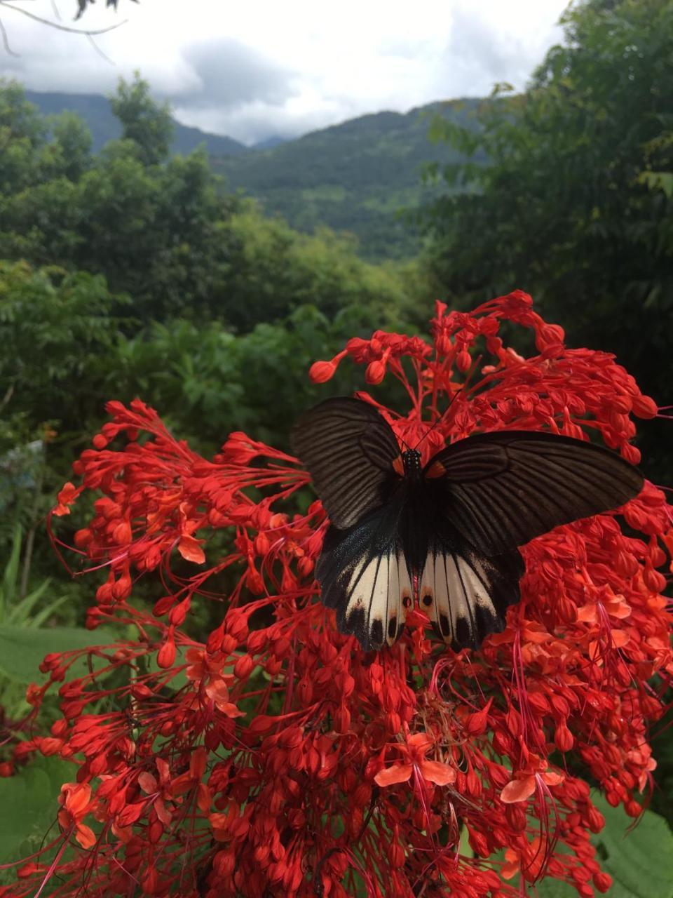 Dinesh House Bed and Breakfast Pokhara Exterior foto